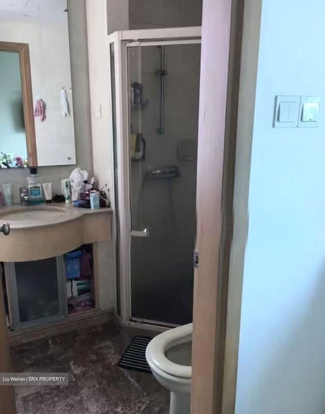 Hillview Regency (D23), Condominium #575296611
